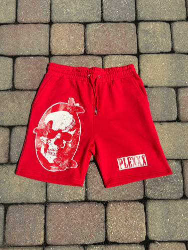 Homework Canvas Shorts