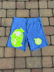Homework Canvas Shorts